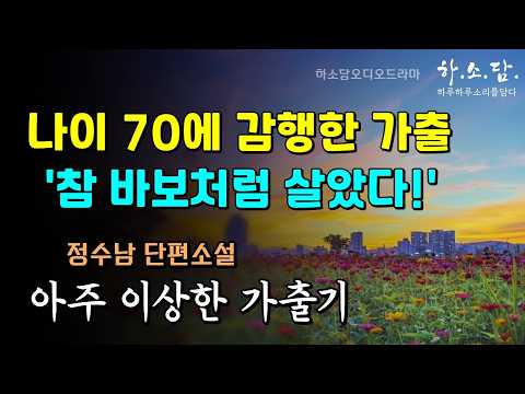 황혼에 감행한 가출! 혹 떼려다 혹 붙인 격이 되고 마는데... [아주 이상한 가출기 - 정수남 단편소설] #하소담오디오드라마 | 책읽어주는 여자 하소담 오디오북