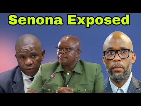 Major Gen Lesetja Senona Exposed after trying to reveal General Mkhwanazi messages.