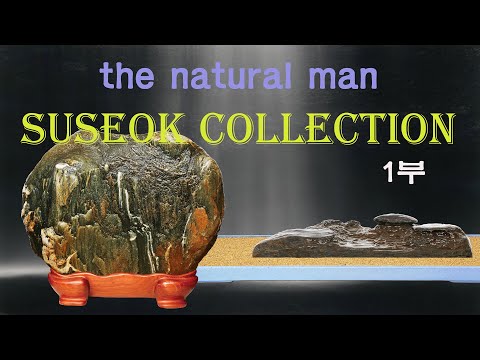 [ 수석의미 ssmtv ] 자연인 수석감상실.전국 수석전시회 소식.수석 (水石. 壽石.奇石.stone).곽창근(010-5446-4832)