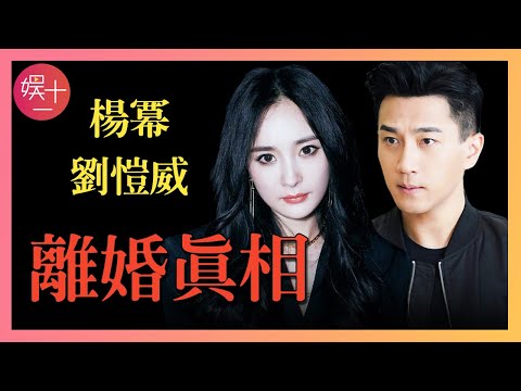 和劉愷威離婚後，她為何只談姐弟戀？離婚原因真相大白，小糯米最受傷害 #楊冪 #劉愷威 #小糯米