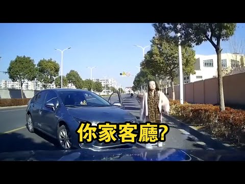 I'm sorry I drove into your living room! Check out the weird drivers on the road