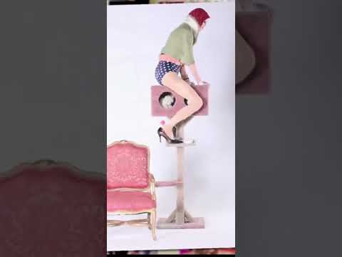 Willam loves party city