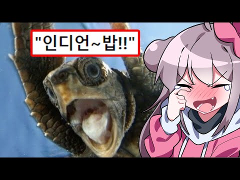 전국 제목학원 레전드 모음집ㅋㅋㅋ