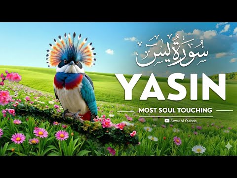 Surah Yaseen Full سورةيس | Relaxing Recitation for Healing | The Heart of Quran | Be Calm Now
