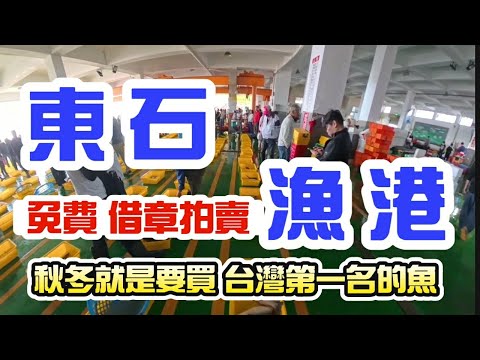 [Seafood Auction] #DongshiFishingPort Auction Live Report | Bought small croaker and live crabs! ...