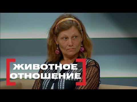 Животное отношение. Касается Каждого, эфир от 08.07.2015