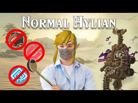 Can A Normal Hylian Calm Vah Naboris? (Challenge Run Part 2)