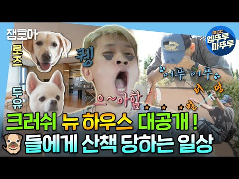 [나 혼자 산다] 6년 만에 나혼산에 돌아온 크러쉬의 NEW 하우스와 반려견 두유&로즈 산책 일상🐶🐕  | #크러쉬 #두유 #로즈 MBC220916방송