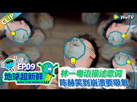 【地球超新鲜CLIP】：必看！林一爆笑粤语描述歌词，众人笑到崩溃，陈赫笑到吸氧！#刘宇宁 #龚俊 #陈赫 #李乃文 #孙红雷