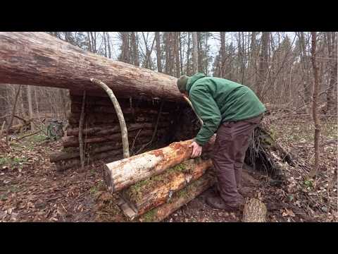 Man Builds Log Shelters Under Fallen Trees for Winter Survival | Start to Finish By @Buda Bushcraft