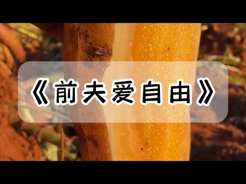 结婚五年，老公执意离婚，说想一个人去流浪。一年后，他说他的灵魂在西藏得到了救赎，来找我复婚。#小说 #故事