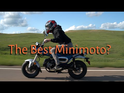 Honda Dax - 3 Months of Ownership