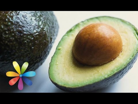 Как вырастить авокадо дома – Все буде добре