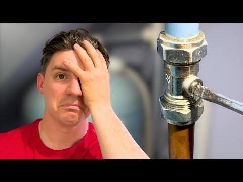 Why Did I Touch It?!