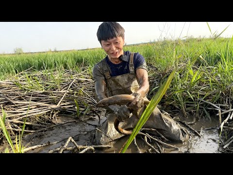 400、500 都拿不下這塘！老闆態度這麼堅決，説不準裏面有特別大的鱔魚#fishing #熱門