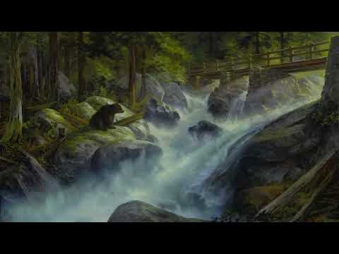 The new Book _ Height of Being Alive