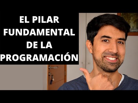 Cuando aprendí esto pude encontrar trabajo como Programador 😎 Abstracciones