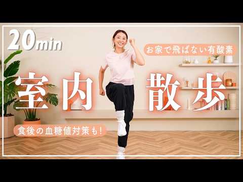 【20分室内散歩】自宅でできる有酸素で効率良く脂肪燃焼!食後の運動にも!【室内ウォーキング】