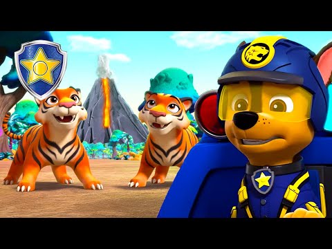 Chase Rescues Jungle Tigers From an ERUPTING Volcano! 🌋🐯 | Chase Official Channel | PAW Patrol