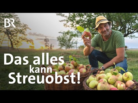 Regionales Streuobst: Ernte, Verarbeitung & Lagerung, Rezepte & Tipps | freizeit | Doku | BR
