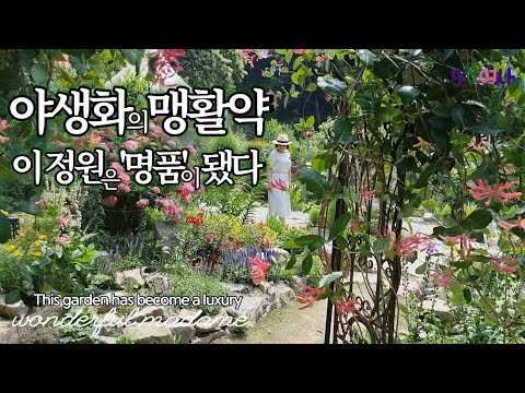 산림청선정 '최고의정원상'받은 정원사가 슥, 내민 그 꽃!/노지월동되는 야생화34종소개