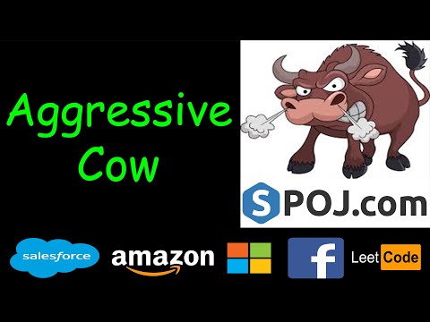 Aggressive cow | SPOJ