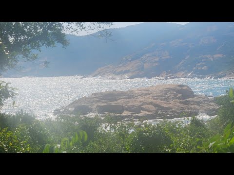 體驗活動成功是精心策劃的結果 ，如何帶好一個活動 ，情意自然教育, 兒童自然活動,  善養小孩, 綠色家庭, 自然生活, 食生, 簡樸生活, 天然生活, 青年教育, 減少使用手機, 遠離虛擬世界