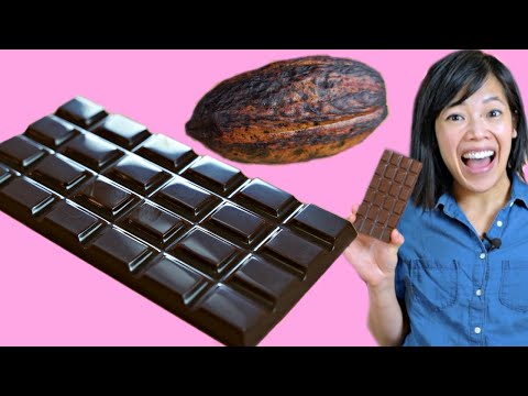Cocoa POD to CHOCOLATE Bar -- How to Make A DIY Bean-to-Chocolate Bar at Home