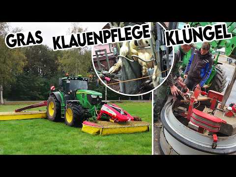 🛠🌾🐄 Everyday life: 5th cut, hoof care, inspection & repairs