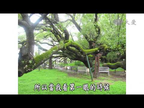 【真情映台灣】20140924 - 劉東啟