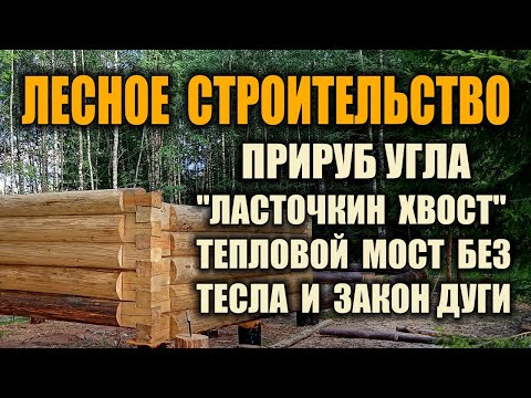 ЛАСТОЧКИН ХВОСТ, ИЗБА, БАНЯ СРУБ СВОИМИ РУКАМИ. Идеальный обжимной паз под мох без тесла по старинке