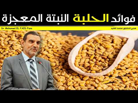 فوائد الحلبة " النبتة المعجزة " ما شاء الله ✪ مع الدكتور محمد الفايد ✔️
