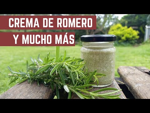 Crema de ROMERO y Alcohol de ROMERO - Solo 2 INGREDIENTES - Todos los Secretos de este Cultivo 