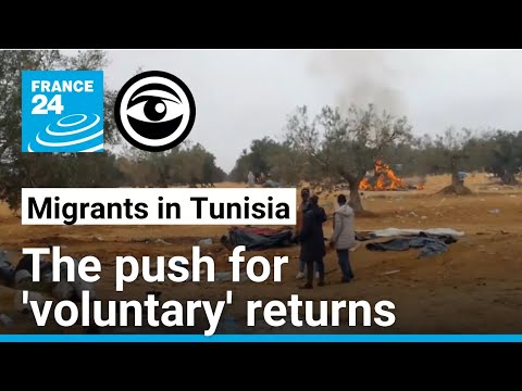 Migrants in Tunisia face growing pressure to leave 'voluntarily' • The Observers - France 24