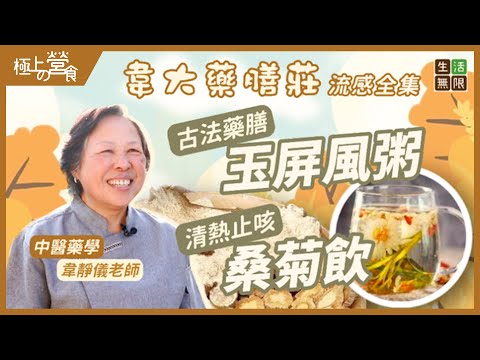 預防流感！古法藥膳「玉屏風粥」｜「桑菊飲」疏風清熱止咳｜ #韋大藥膳莊(流感篇) #極上の營食 #北芪 #北耆 #黃芪 #防風 #薄荷葉 #桔梗 #桑樹 #中藥湯食譜 #湯水  #podcast