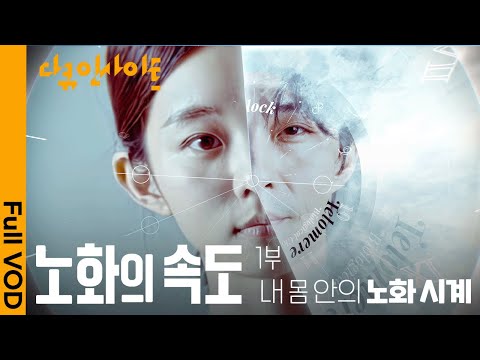 현대 과학이 밝혀낸 ‘노화 속도를 늦추는 법’ ㅣ KBS 다큐 인사이트 - 노화의 속도 1부 내 몸 안의 노화 시계 25.04.17 방송