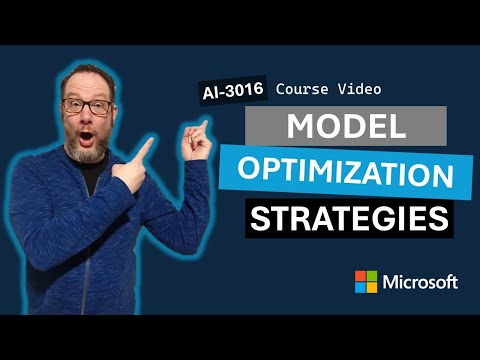 Compare model optimization strategies AI-3016
