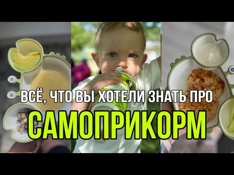 26. САМОПРИКОРМ | КОГДА ВВОДИТЬ? | АЛЛЕРГЕНЫ | ЧТО ДЕЛАТЬ, ЧТОБЫ РЕБЁНОК ЕЛ САМ?  #самоприкорм