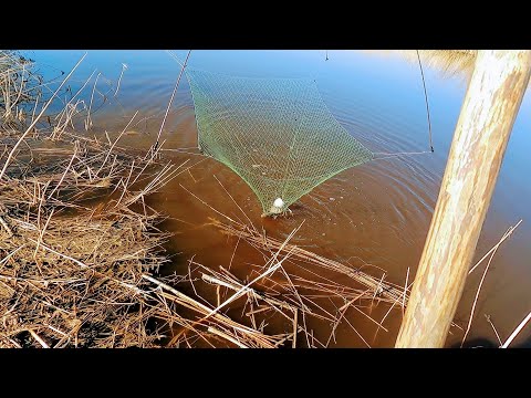 Fishing with the SPIDER LIFT has opened the 2022 fishing season. We're putting the all-terrain ve...