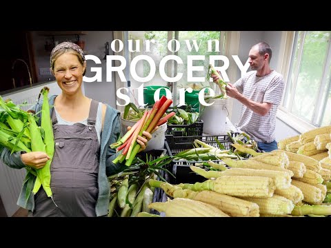 HARVEST. PRESERVE. REPEAT. It all ADDS UP!