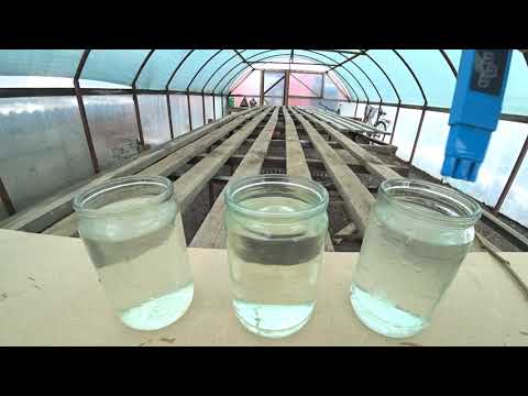 ppm дождевой воды! Проверяем воду на соли.