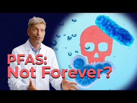 The Scientist Training Microbes to Eat Toxic PFAS