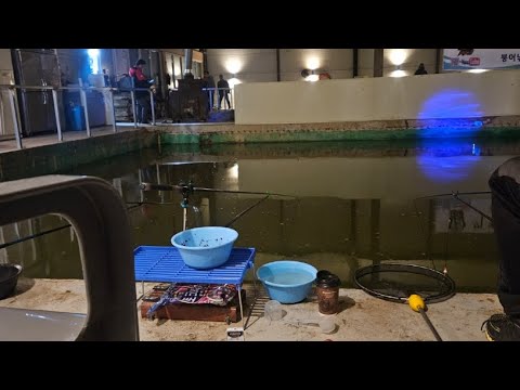 은현 피싱타운 하우스 붕어 어떨까?