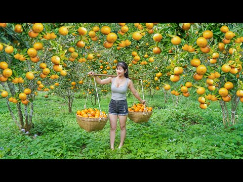Harvesting Lots Of Oranges Goes To Countryside Market Sell For Villager - My Bushcraft / Nhất