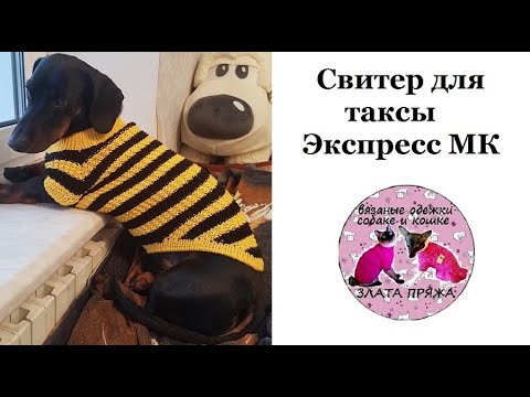 56. Свитер для таксы. Экспресс МК