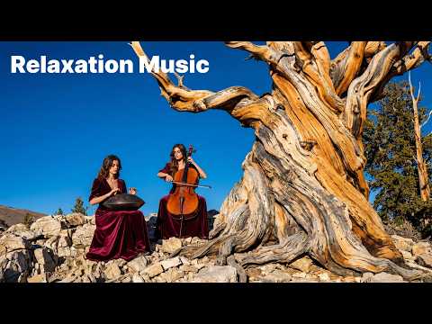 π² Timeless Echoes | Handpan & Cello in the Bristlecone Forest (1-Hour Cinematic)