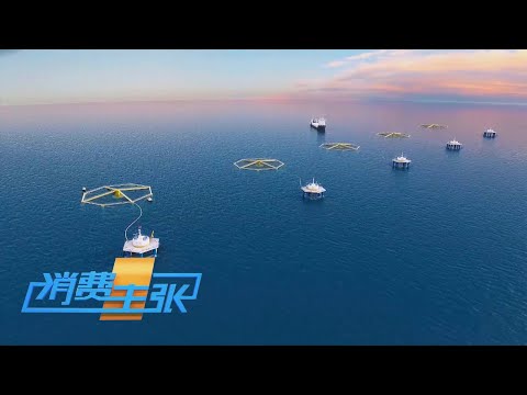 一只蟹卖2000元！“澳大利亚国宴鱼”竟成山东莱西特产！青海三文鱼“游”上海外餐桌！揭秘人类如何向深海要粮食？「消费主张」 20250304 | 财经风云