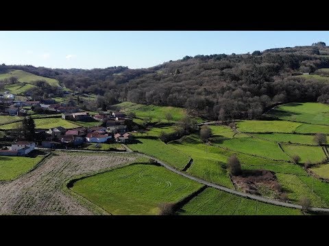 The English middle voice | Canguro English