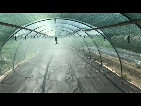 БЕЗ ЭТОГО НЕ ВЫРАСТИТ РАССАДА. Рассадник под кассетную рассаду