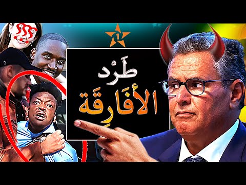 أخنوش بين فضيحة أفارقة تزوجو مغربيات بأوراق مزورة وقرار ترحيل المهاجرين الأفارقة لي هجموو على المغرب